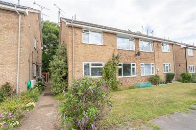 Blackmoor Wood, Ascot, Berkshire, SL5 8EN