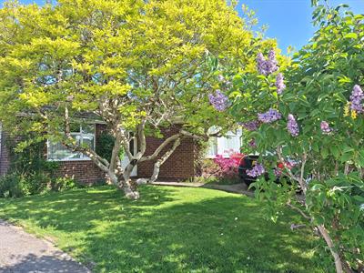 BLACKMOOR WOOD, ASCOT, BERKSHIRE, SL5 8EL